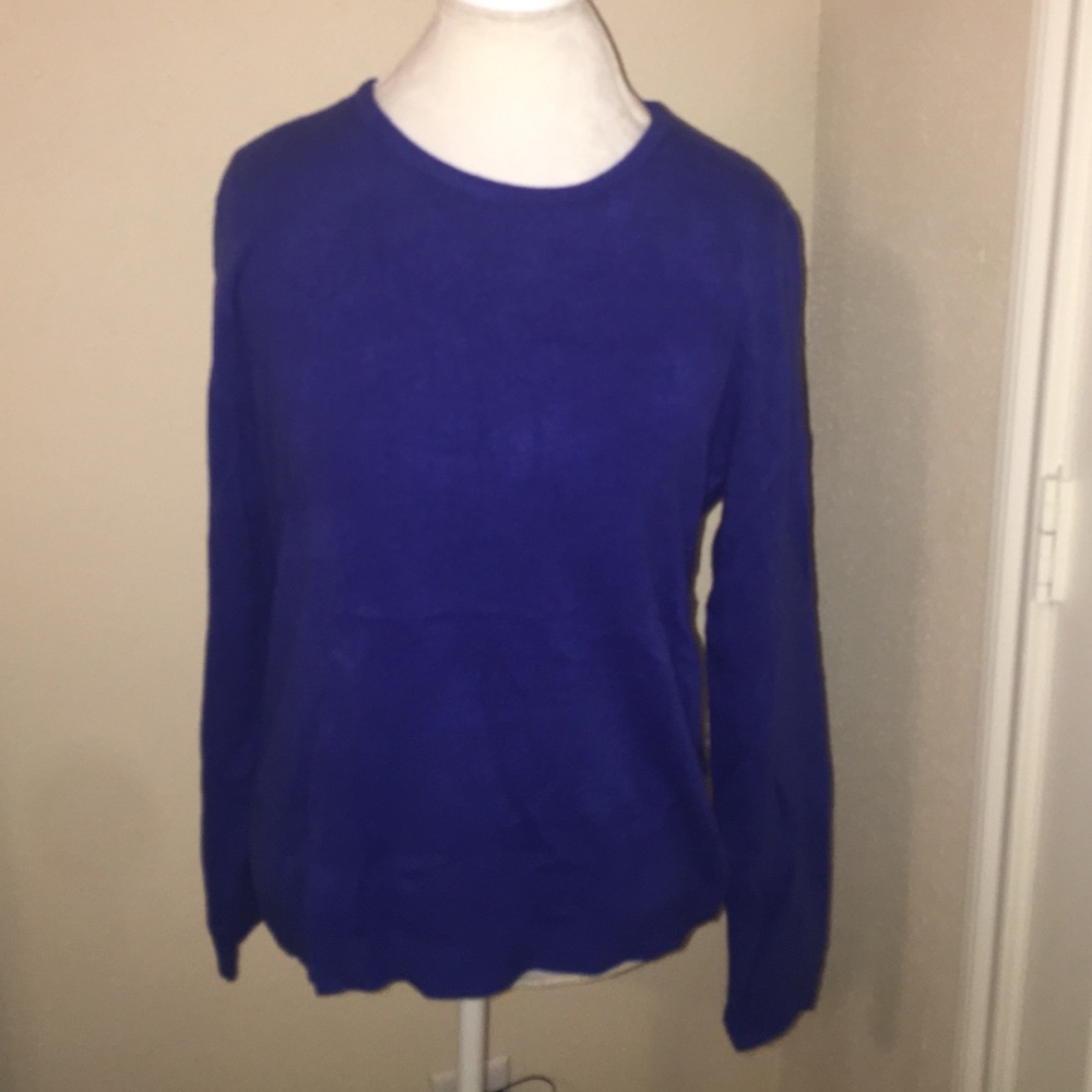 Blue Sweater